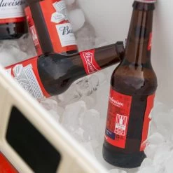 VW Collection - VW T1 Bus - Fahrbare Kühlbox - 30 Liter - Rot -Abenteuer Verkauf 18541 fahrbare kuehlbox vw collection bulli t1 rot camping strand 162JiaVUTDvhhvI 1280x1280