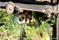 HOLLYHOPPER® Seifenblasenmaschinen Set Mit 1L Qualitäts-Fluid, 2x Fang-Kescher -Abenteuer Verkauf hollyhopper seifenblasen romantik 1280x1280