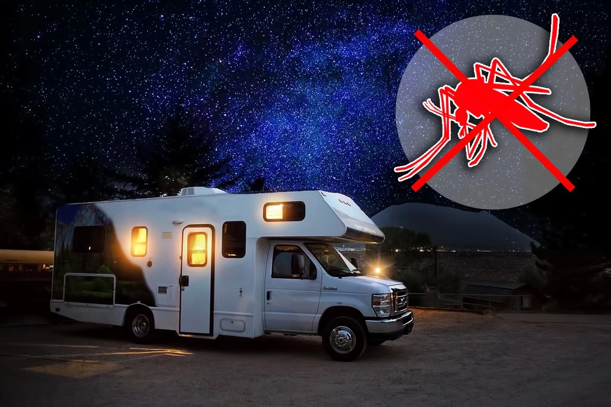 Ungeziefervertreiber Ultraschall - Stechmücken, Käfer, Wühltiere, Nagetiere, Schaben - COMPACT-PC 4 Ungeziefervertreiber Ultraschall - Stechmücken, Käfer, Wühltiere, Nagetiere, Schaben - COMPACT-PC – Bild 4